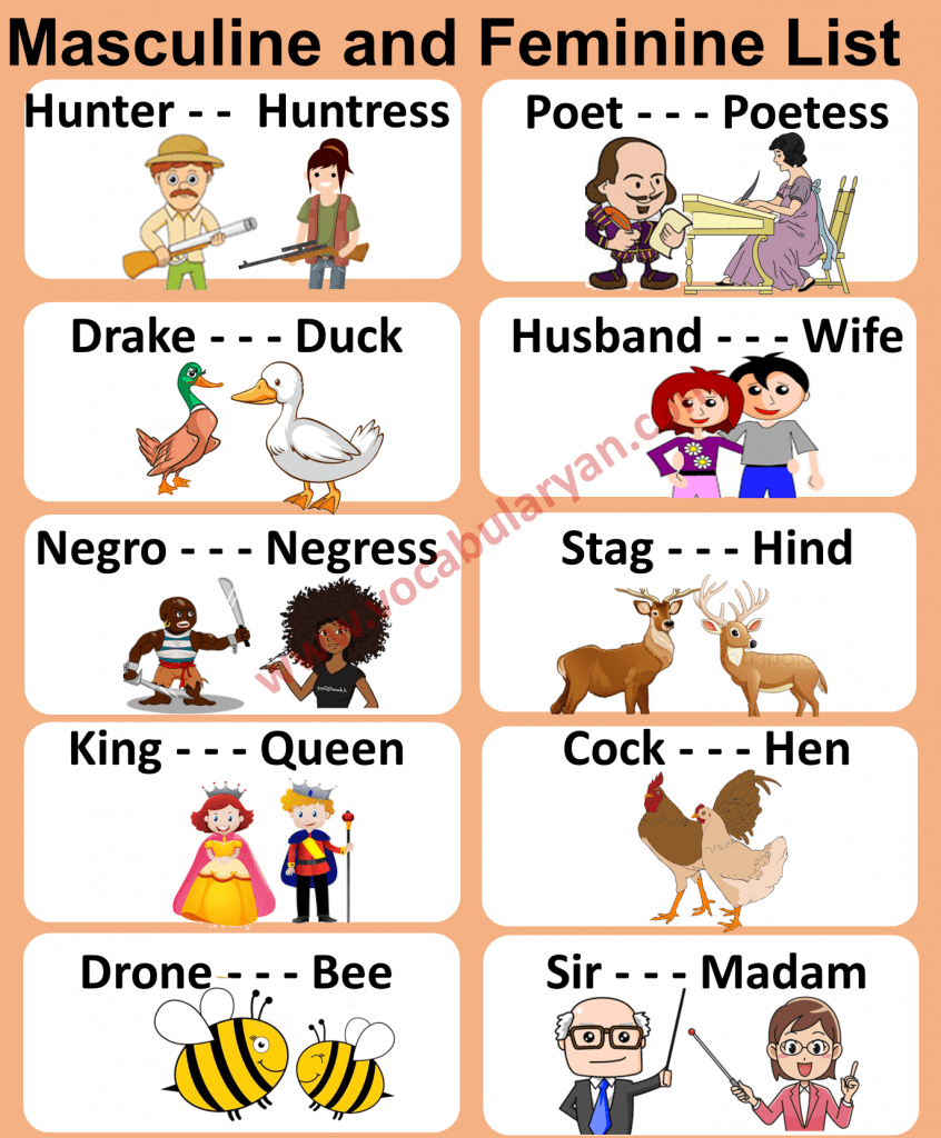 Masculine And Feminine Gender List In English – Vocabularyan