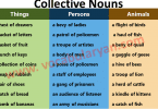 500 Collective Nouns List