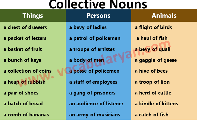 100 List of Collective Nouns of Thing, Animals and Persons