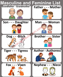 Masculine and Feminine Gender List in English – VocabularyAN