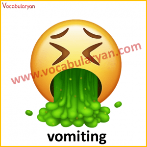 WhatsApp Emoji Meaning In English