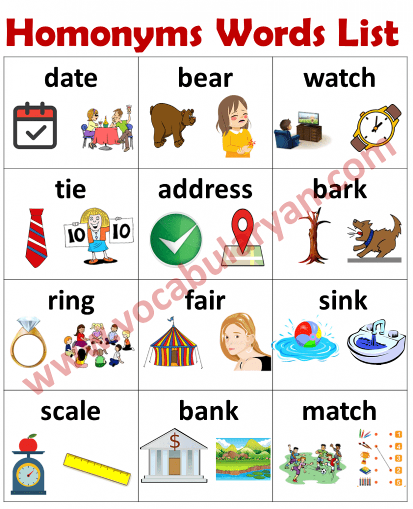 Homonyms Words List For Grade 2 And 3 With Picture – VocabularyAN