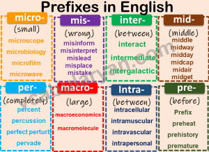 prefixes vocabularyan grades