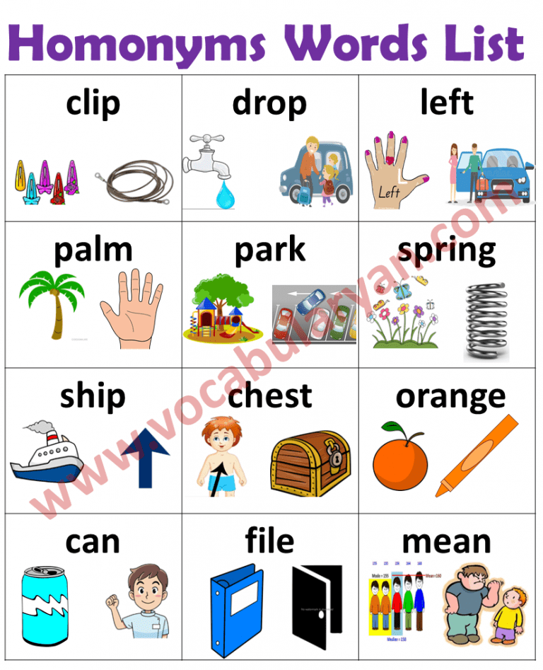 Homonyms Words List for Grade 2 and 3 with Picture – VocabularyAN