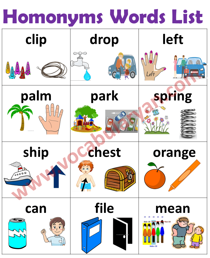 homonyms-words-list-for-grade-2-and-3-with-picture-vocabularyan