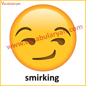 Emojis And Their Meaning