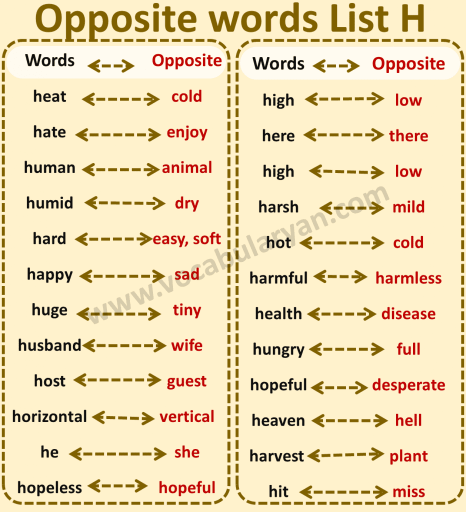 Opposite Words In English For Class 4