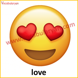 All Emoji Meaning In Urdu