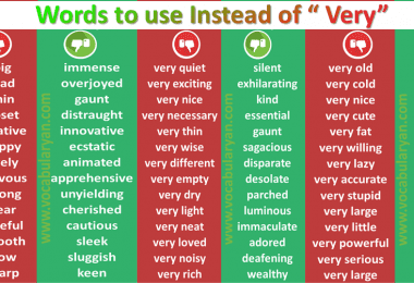 Words to Use Instead of Very Similar Archives – VocabularyAN