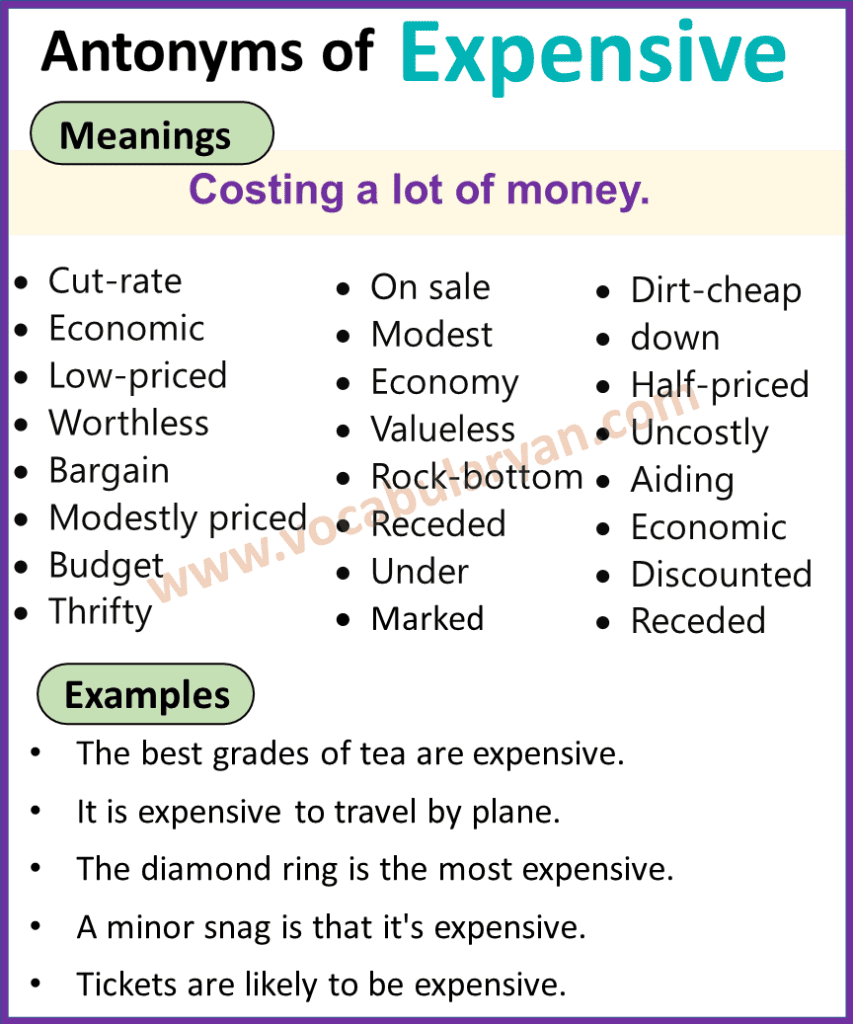 Antonyms of Expensive with Examples