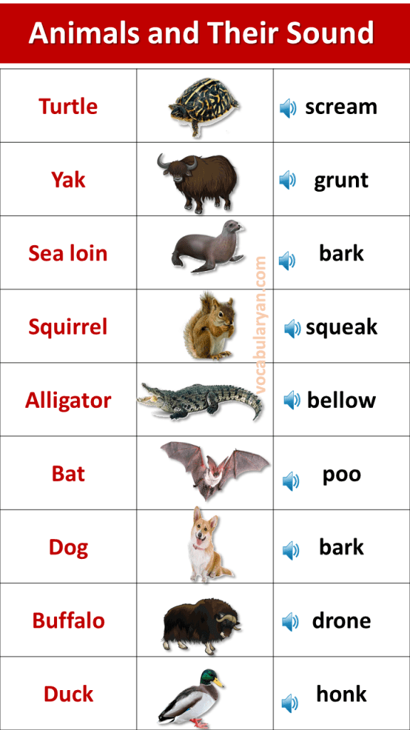 A to Z Animal Sounds List in English – VocabularyAN