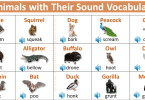 Animals sounds list with Picture Vocabulary