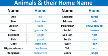 A - Z Animals & their Home Name Vocabulary