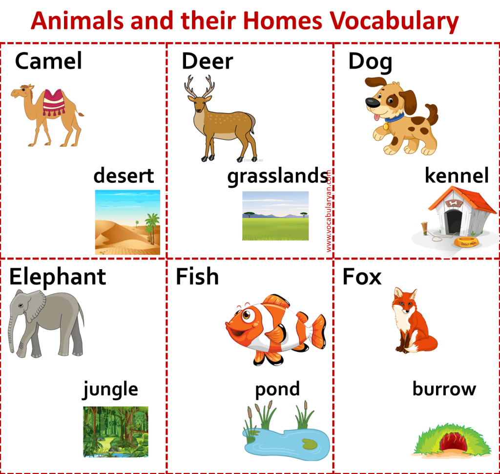 List of Animals and Their Homes PDF