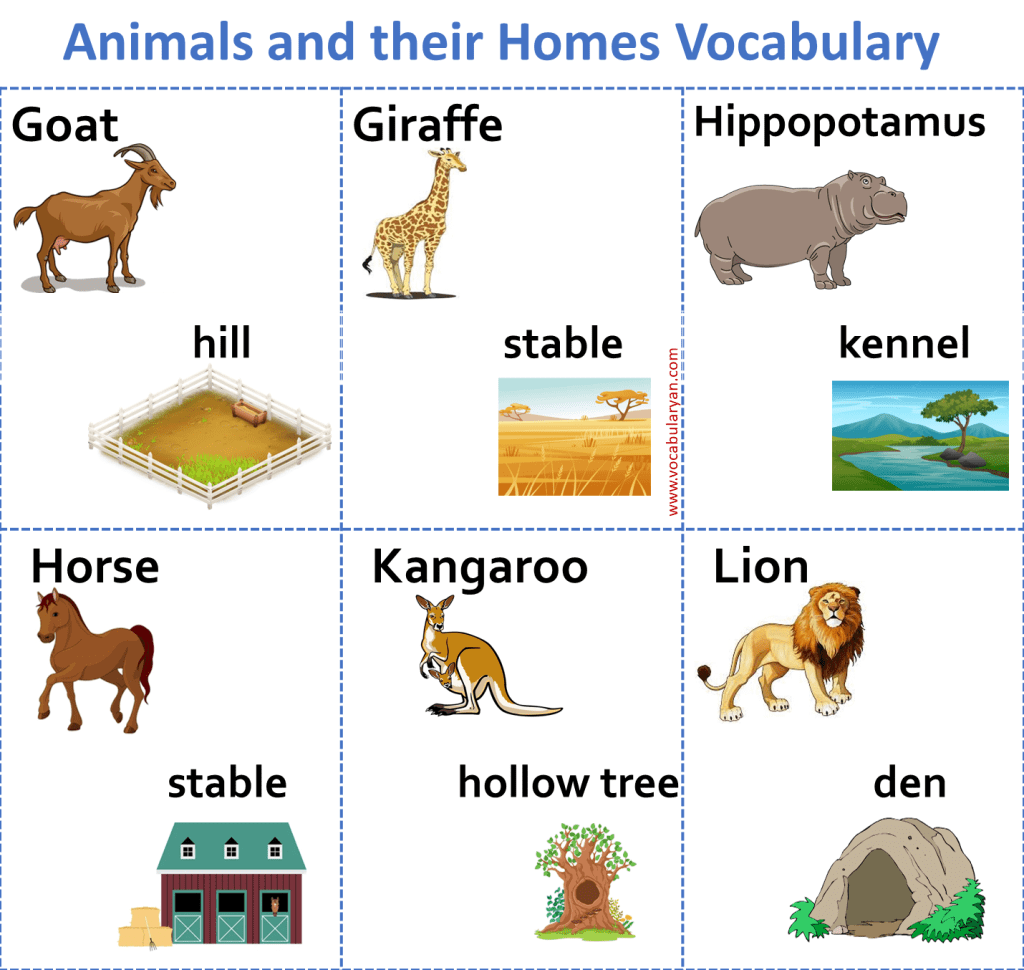 Domestic Animals and Their Homes Pictures