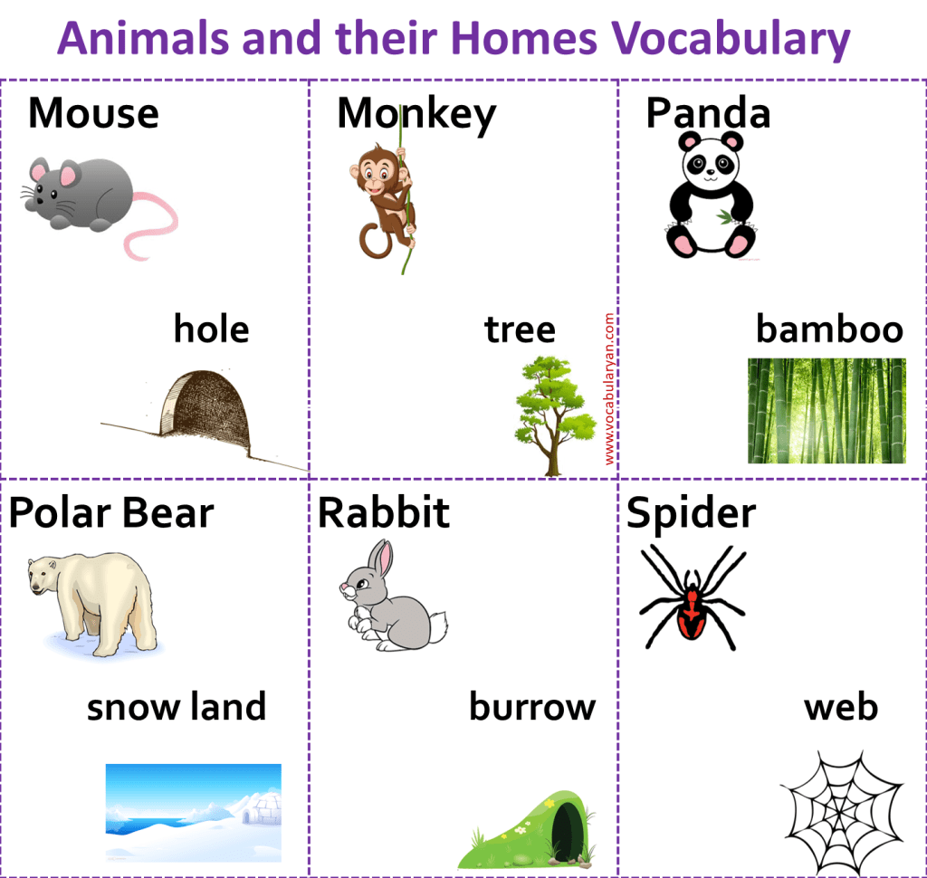 Farm Animals and Their Homes