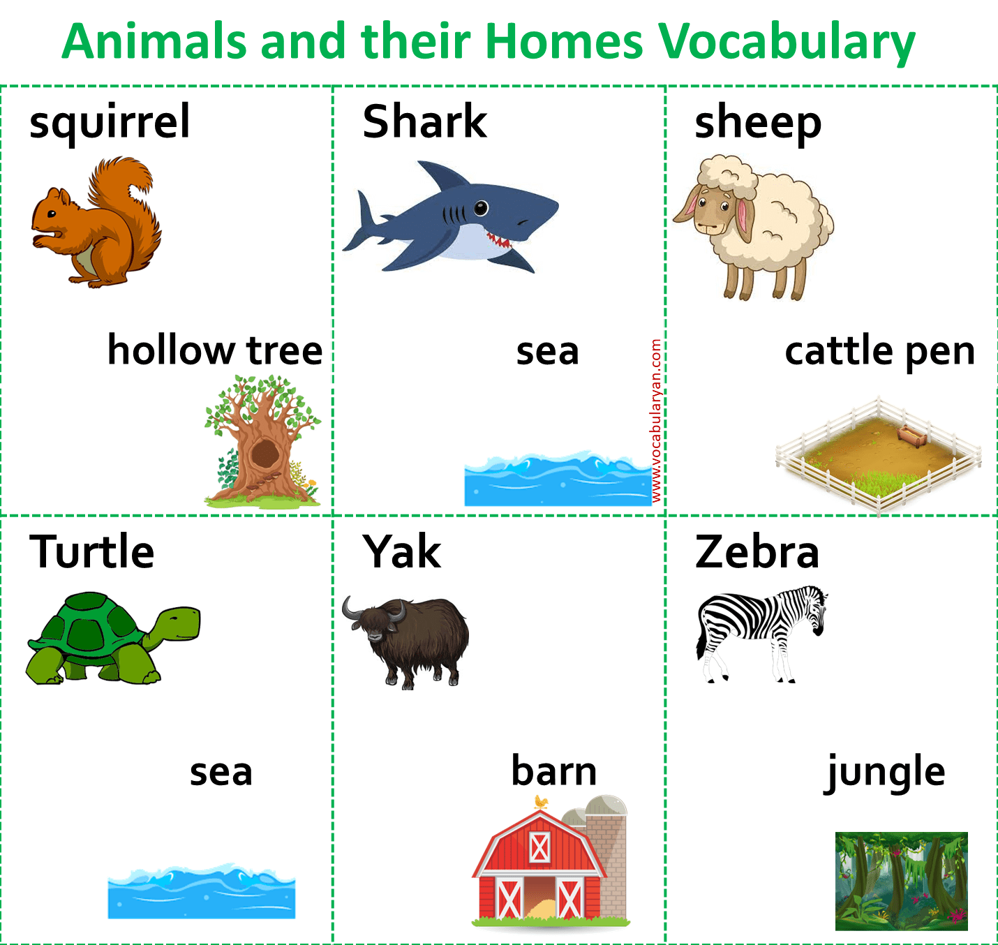 A - Z Animals and Their Homes Name Vocabulary – VocabularyAN
