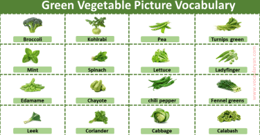 Green Vegetable Picture Vocabulary
