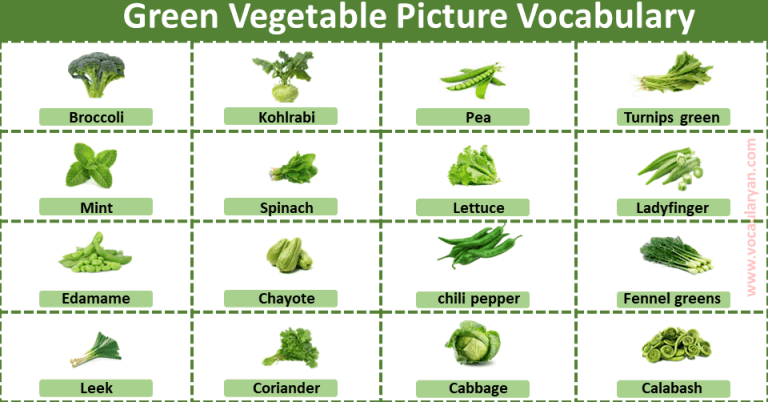 Green Vegetables Names With Pictures For Kids VocabularyAN green-vegetables-names-with-pictures-for-kids-vocabularyan