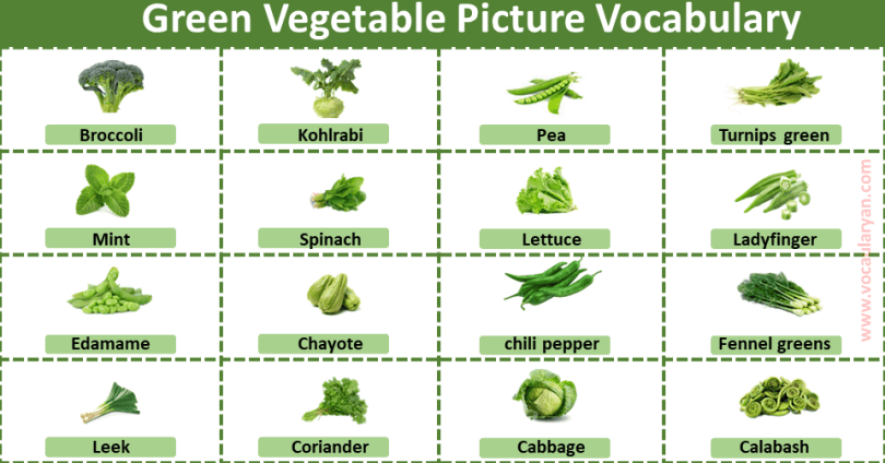 Green Vegetables Names with Pictures for Kids – VocabularyAN