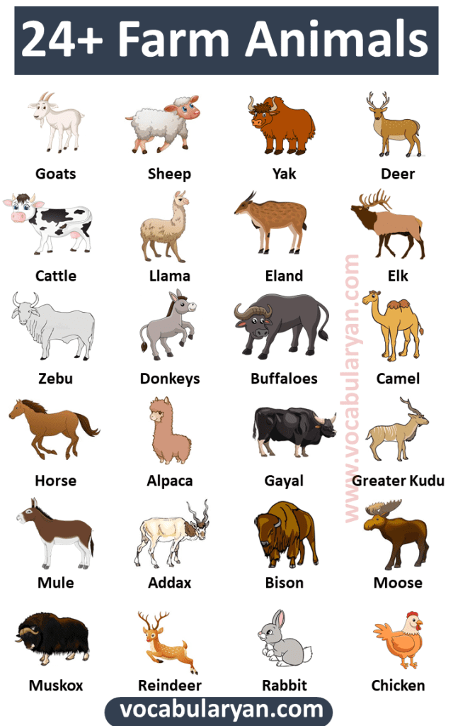 24+ List of Farm Animals Vocabulary VocabularyAN