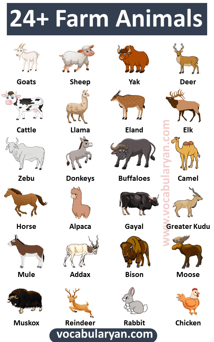 24-list-of-farm-animals-vocabulary-vocabularyan