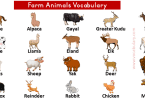 24+ List of Farm Animals Vocabulary