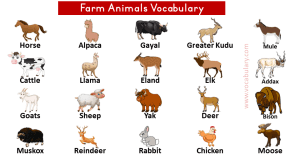 Farm Animals Worksheets PDF Archives – VocabularyAN