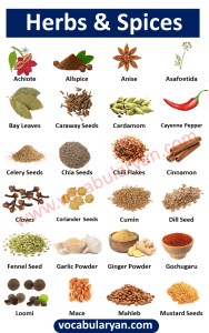 List of Herbs and Spices Vocabulary with Images – VocabularyAN