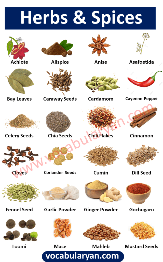 List Of Herbs And Spices Vocabulary With Images Vocabularyan