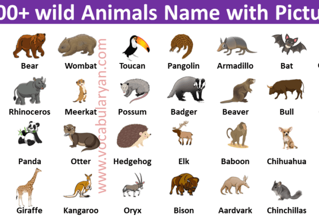 Wild Animals Pictures With Names In English Archives – VocabularyAN