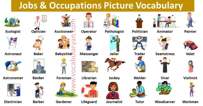 250+ Jobs and Occupation Names in English Alphabetically – VocabularyAN