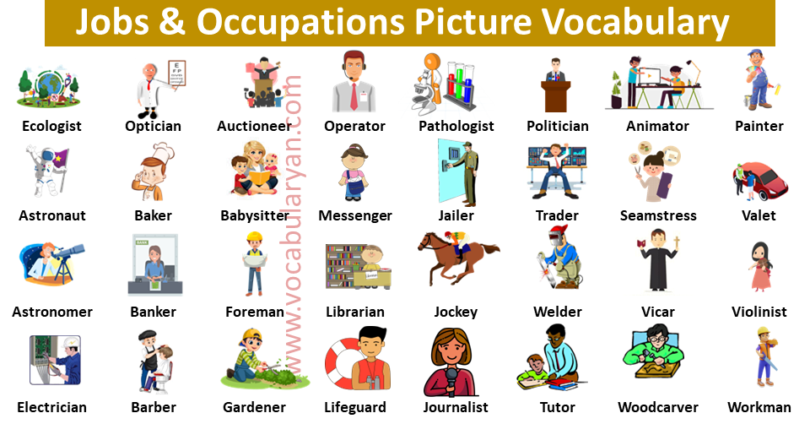 250 Jobs And Occupation Names In English Alphabetically VocabularyAN