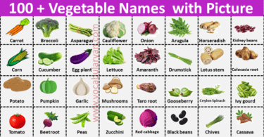100 Vegetable Names with Picture