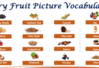 25+ Dry Fruit Name in English with Picture