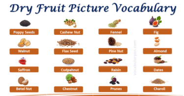 25+ Dry Fruit Name in English with Picture