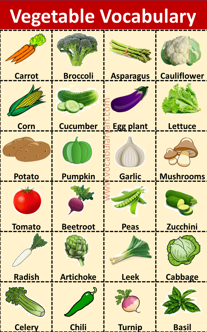 100+ Vegetable Names with Picture – VocabularyAN