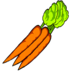 Carrot