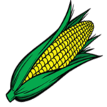 Corn