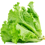 Lettuce