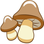 Mushrooms