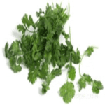 Parsley