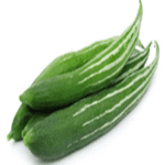 Snake gourd