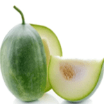 Ash gourd