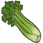 Celery