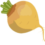 Rutabaga