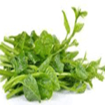 Ceylon Spinach