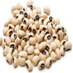 Cowpea