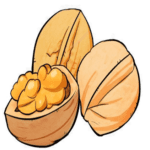 Dry Fruit 