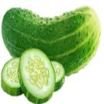 Cucumber